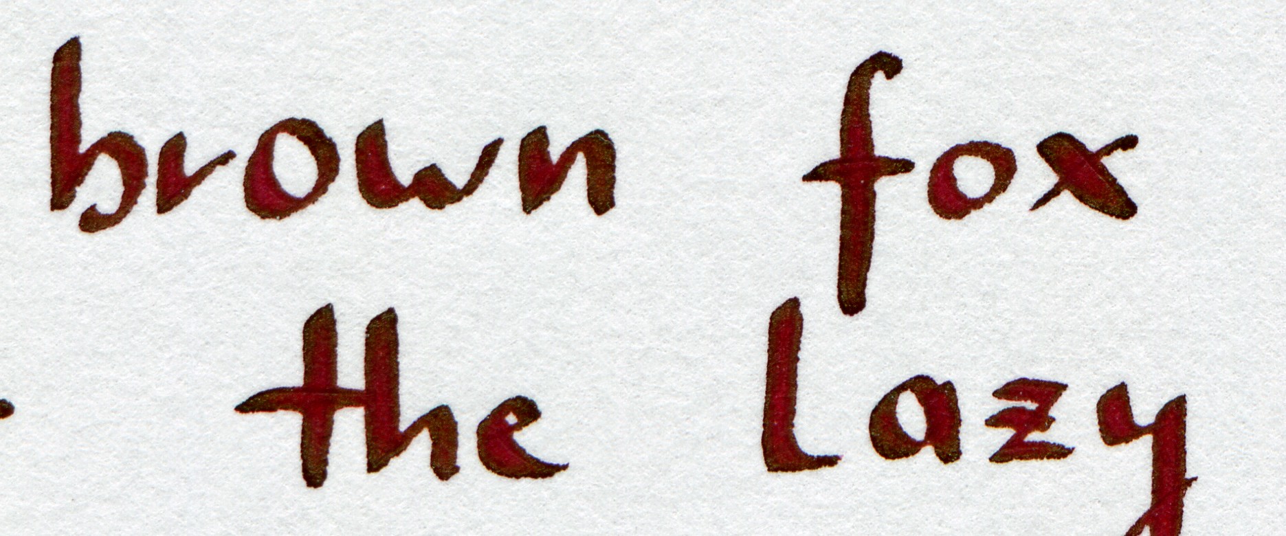 Diamine_Syrah_Brause_1mm_Focus.jpg