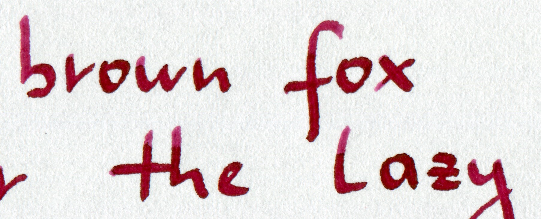 Diamine_Syrah_Lamy_1.1_ZETA_Focus.jpg