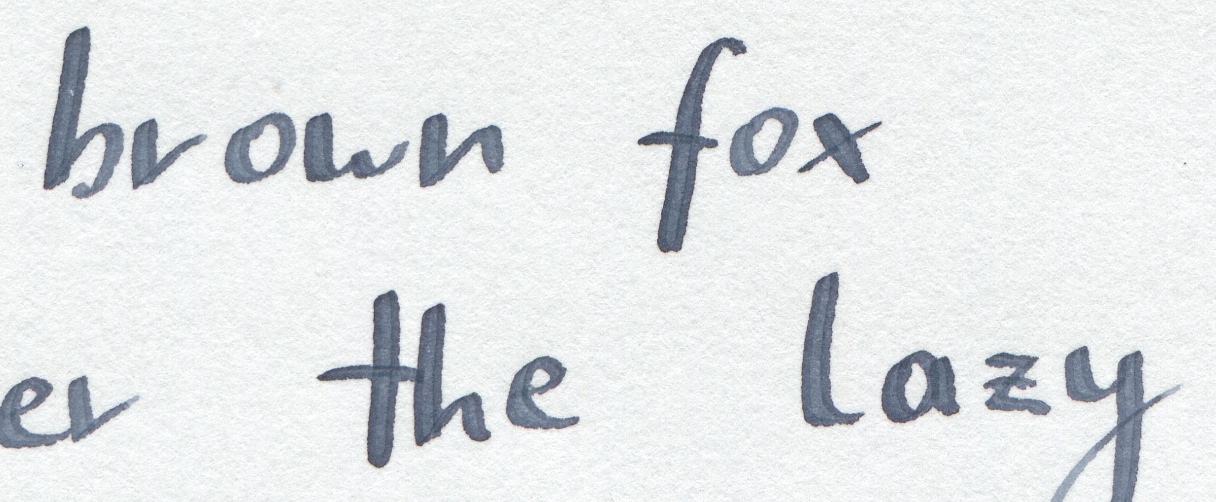 iroshizuku_fuyu-syogun_brause_1mm_zoom.jpg